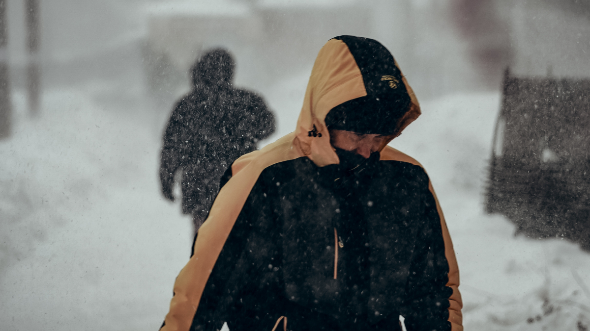 Пуховик с этой щеткой как новый: простой секрет идеальной сушки — забудьте о комках Светлана Мулыкина