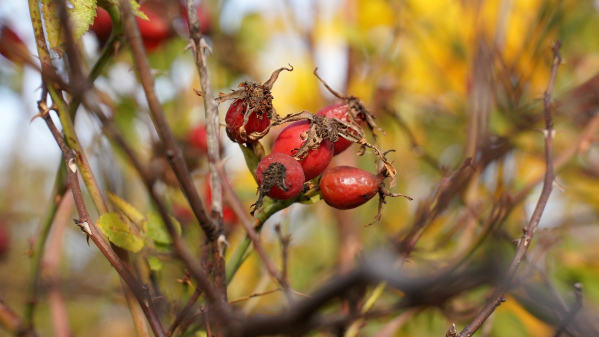 Что приготовила Вселенная трем знакам на 5 ноября 2025 — их ждет финансовый переворот ИА SM-News
