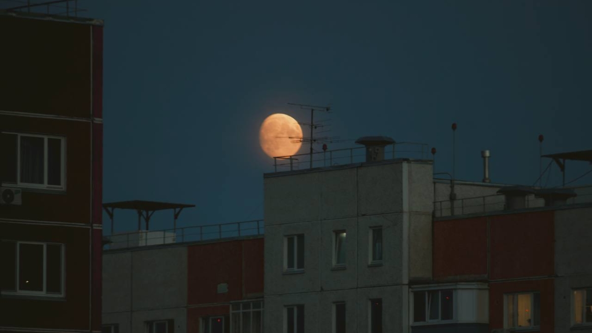 6 ноября — Лунный календарь: что можно и нельзя делать на Убывающую Луну в Раке ИА SM-News