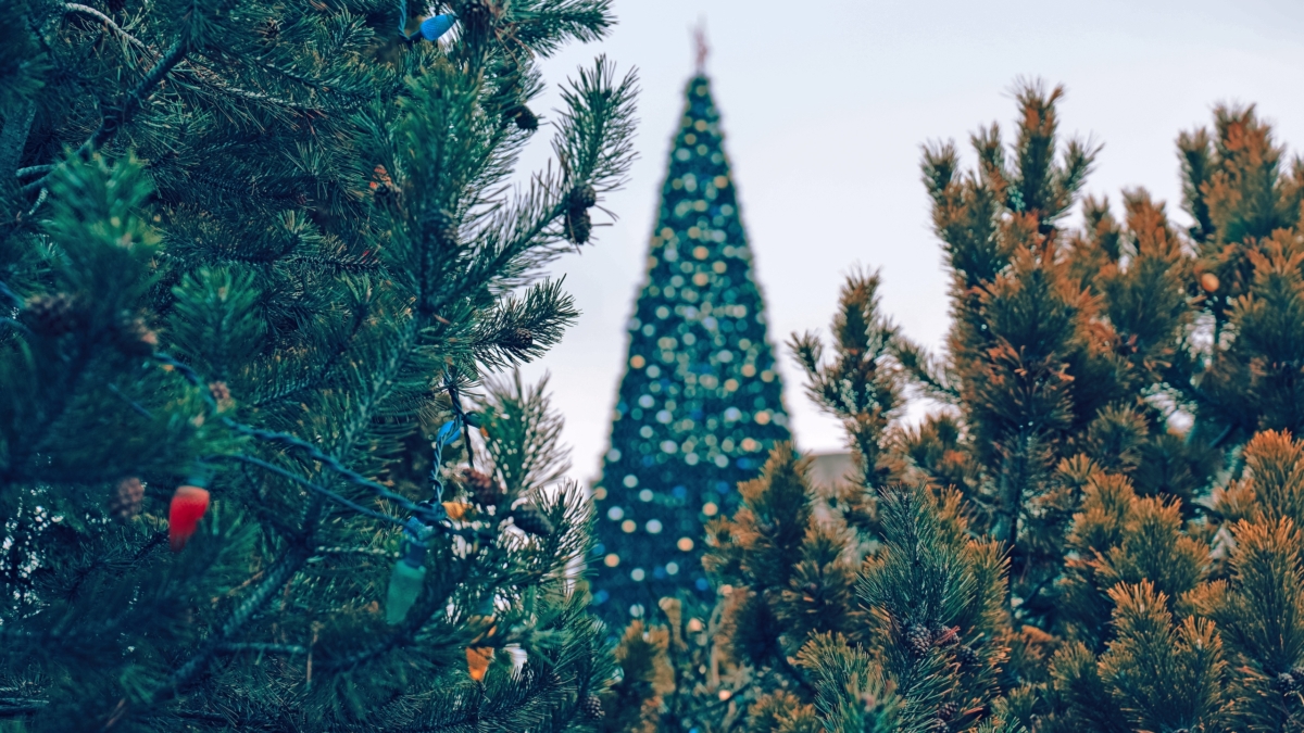 Интеллектуальное омоложение против зимней усталости — как успеть преобразиться до Нового года ИА SM-News