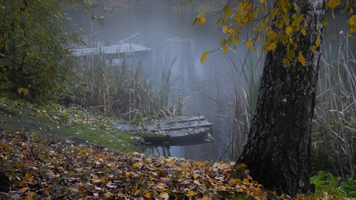 Слияние Марса и Плутона 6 ноября 2025 года — точка трансформации жизни трёх знаков зодиака ИА SM-News