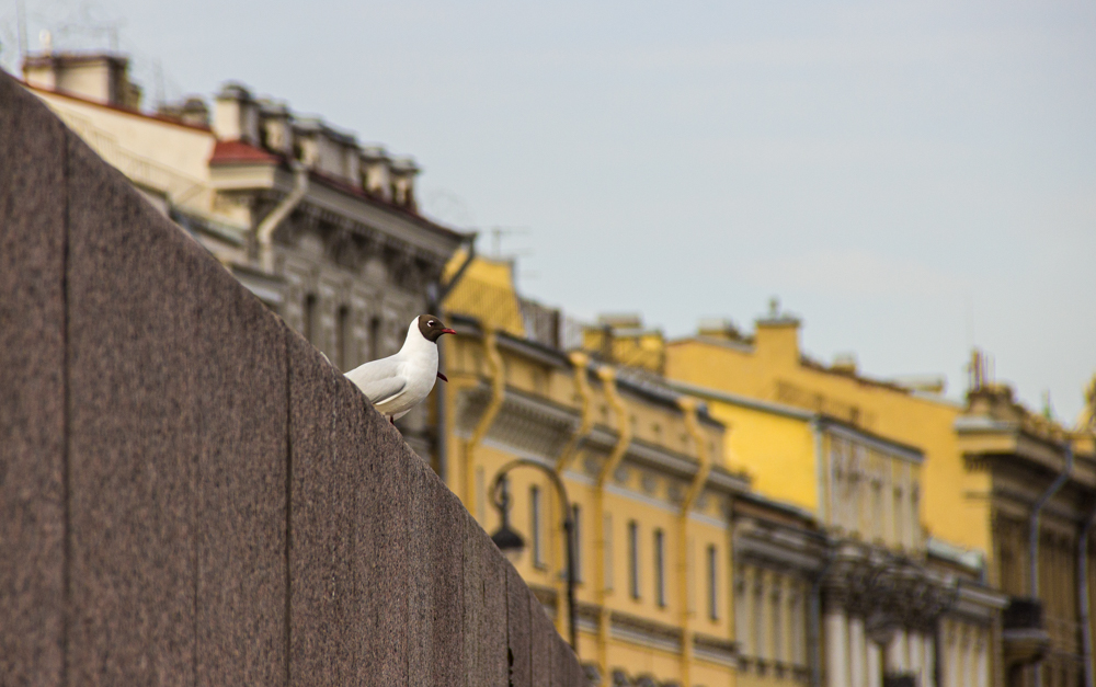 7 ноября отмечаем праздники: День согласия и примирения, уральского трамвая, именинники и не только ИА SM-News