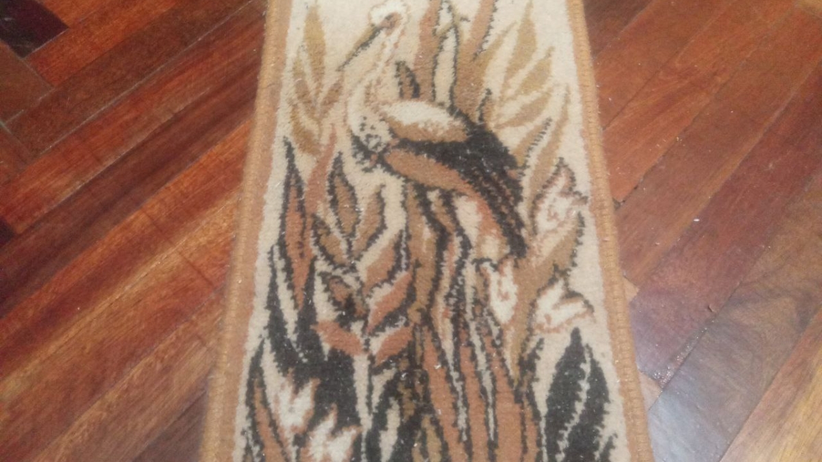 У меня кот, собака и ковры в каждой комнате – вот что помогает сохранить чистоту покрытий ИА SM.News