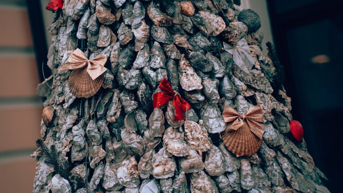 Светлана Мулыкина 