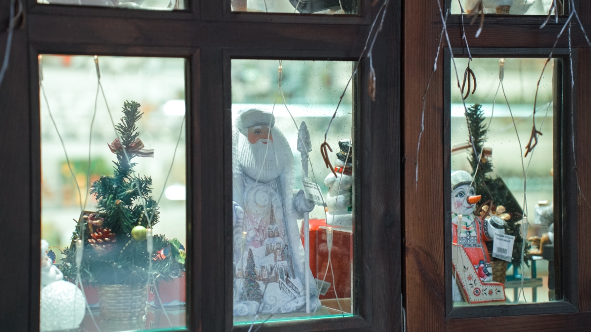 Светлана Мулыкина