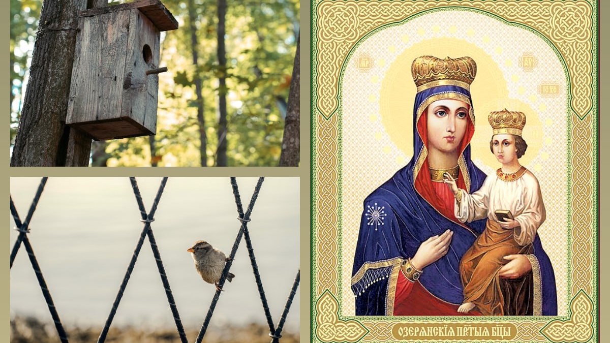 Что можно и нельзя 12 ноября в Синичкин день — молитва о здравии иконе Озерянская и кормушки для птиц Икона Богородицы Озерянская/Коллаж ИА SM-News