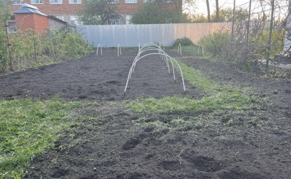 Посадка кабачков в ноябре: как я получаю урожай на полтора месяца раньше всех — проверенный способ Посадка кабачков в ноябре: как я получаю урожай на полтора месяца раньше всех — проверенный способ