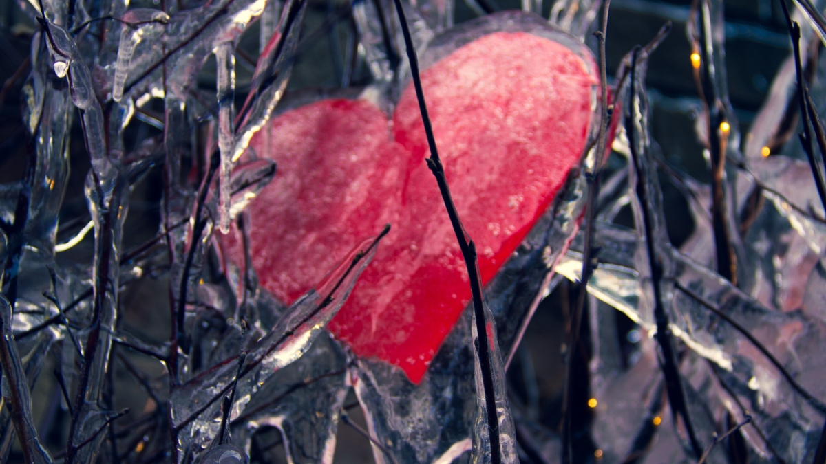 Стрелы Амура уже в пути: 3 знака Зодиака обретут любовь до конца 2025 года ИА SM-News