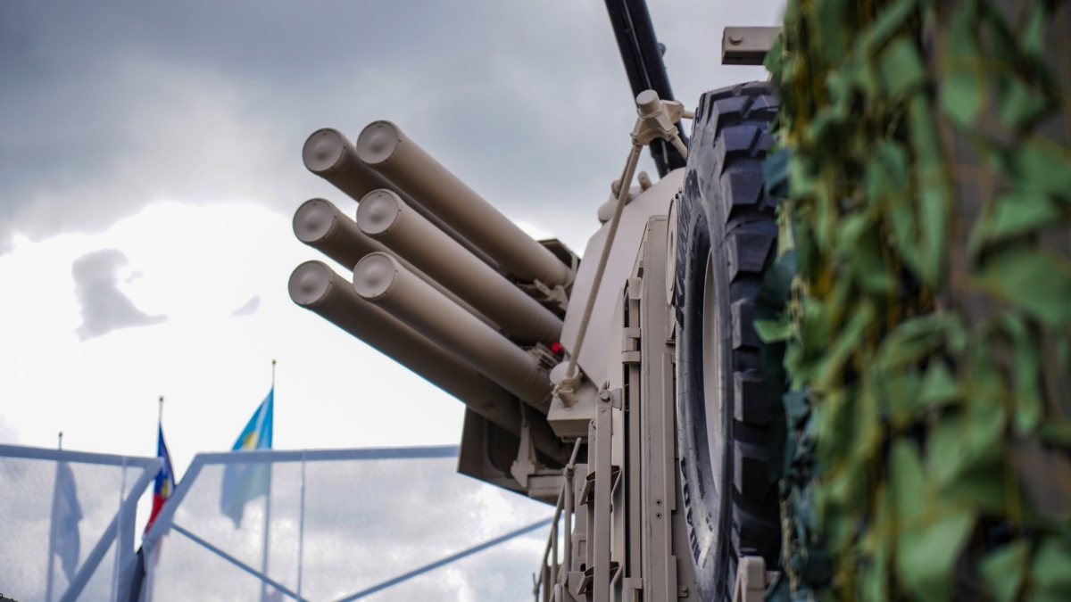 Светлана Мулыкина
