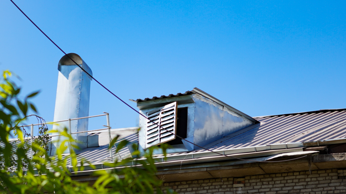 Светлана Мулыкина