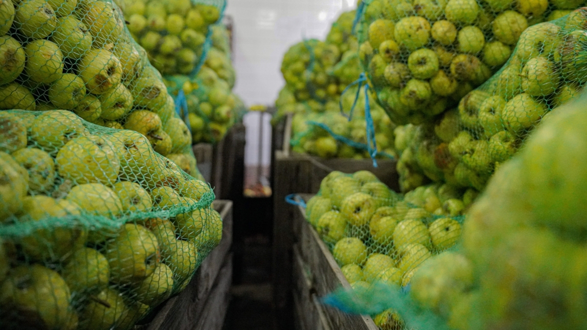 Яблочная сгущёнка за 6 шагов: здоровый десерт для всей семьи —- такой вкус не забывается Светлана Мулыкина