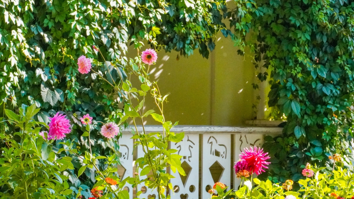 Светлана Мулыкина