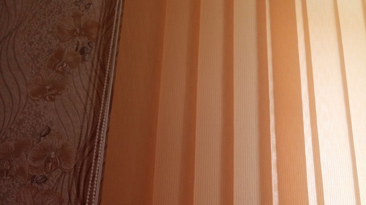 Тряпку в сторону: как я научилась стирать вертикальные жалюзи — и они выжили ИА SM.News