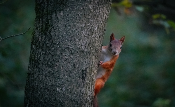 Юпитер 16.11.25г. одарит четыре знака шансом: Рак сбросит панцирь, а Скорпион смягчит сердце Юпитер 16.11.25г. одарит четыре знака шансом: Рак сбросит панцирь, а Скорпион смягчит сердце