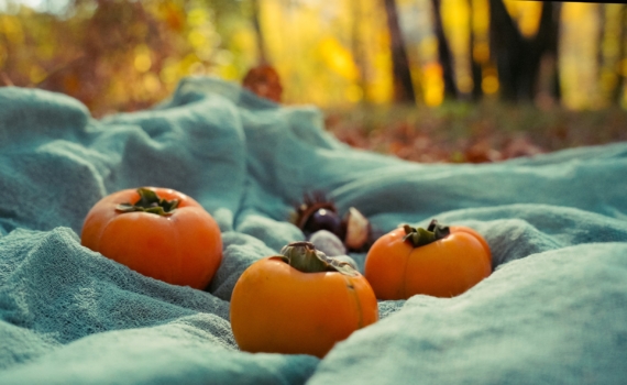 Почему звезды советуют спрятать кошелек 16 ноября 2025 всем знакам зодиака: Гороскоп на воскресенье Почему звезды советуют спрятать кошелек 16 ноября 2025 всем знакам зодиака: Гороскоп на воскресенье