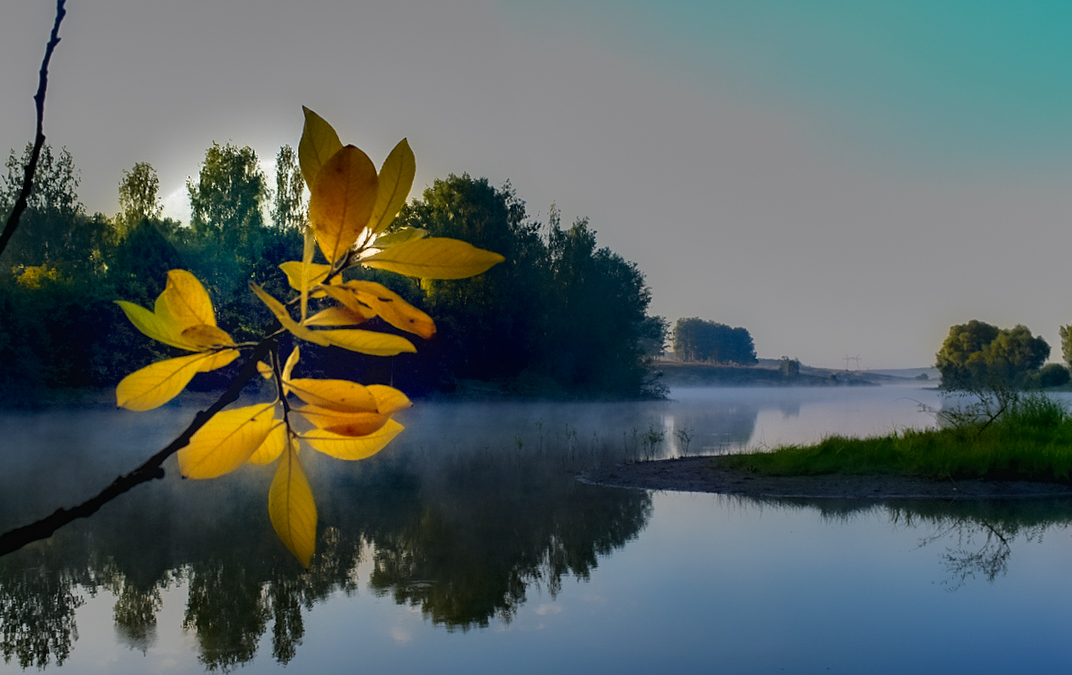 Тяжёлый понедельник: что можно и нельзя делать 17 ноября 2025 года в последний день лунного цикла ИА SM-News