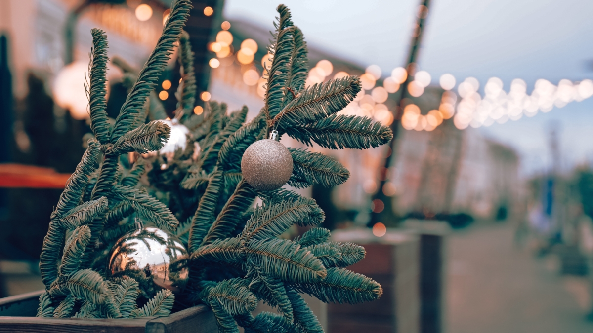 Чтобы елка радовала годы: простая инструкция по выбору без разочарований Светлана Мулыкина