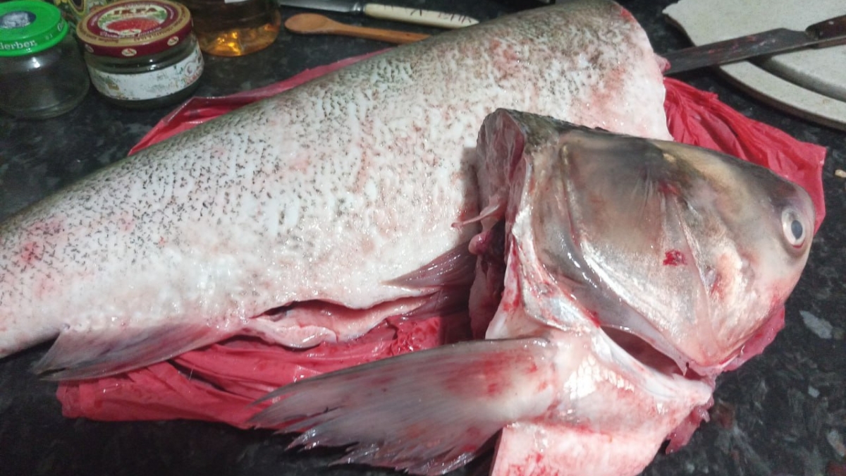 Пирог с рыбой и рисом: любимая начинка из прошлого — как в детстве у бабушки ИА SM.News