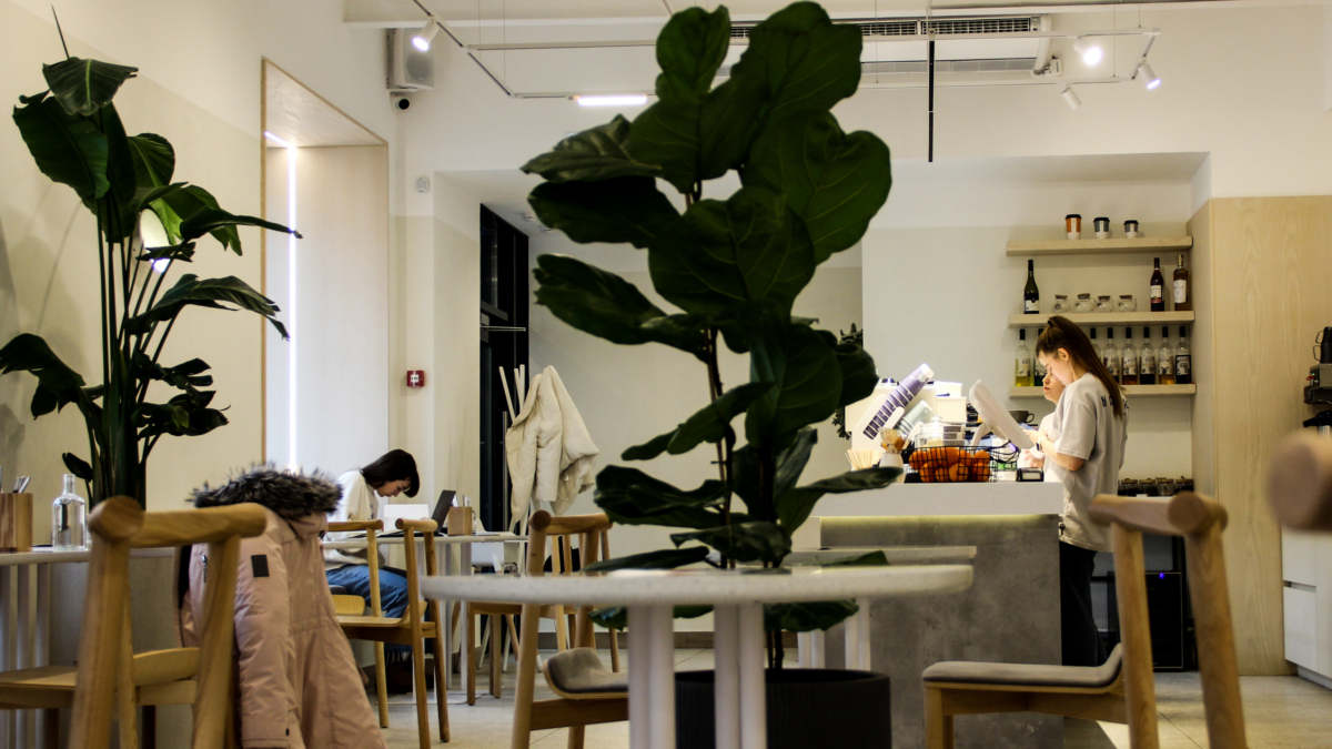 Стеклообои для квартиры: плюсы, минусы и особенности поклейки – новый стандарт ремонта ИА SM-News