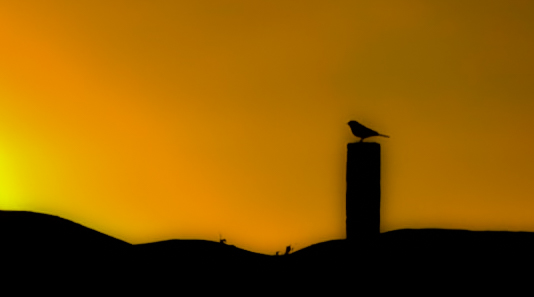 Под Сфинксом нашли скрытую гробницу – это может изменить все, что мы знали о Древнем Египте ИА SM-News