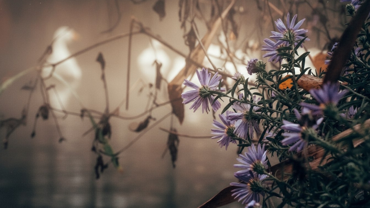 Светлана Мулыкина