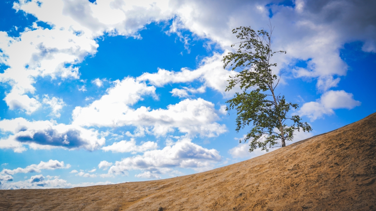 Аналитик Карнаухов рассказал о значении господдержки туриндустрии ИА SM-NEWS