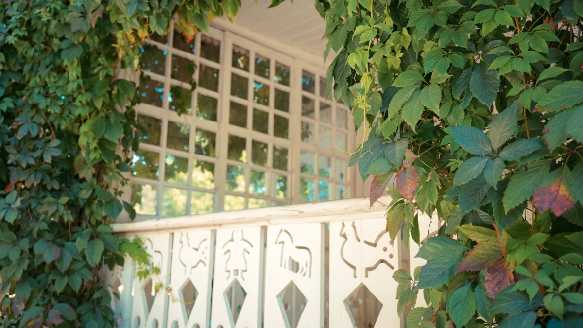 Светлана Мулыкина