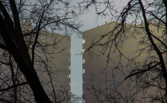 Космический шифр 21 ноября 2025: какой ключ откроет вашу дверь к успеху — узнайте, персональный код