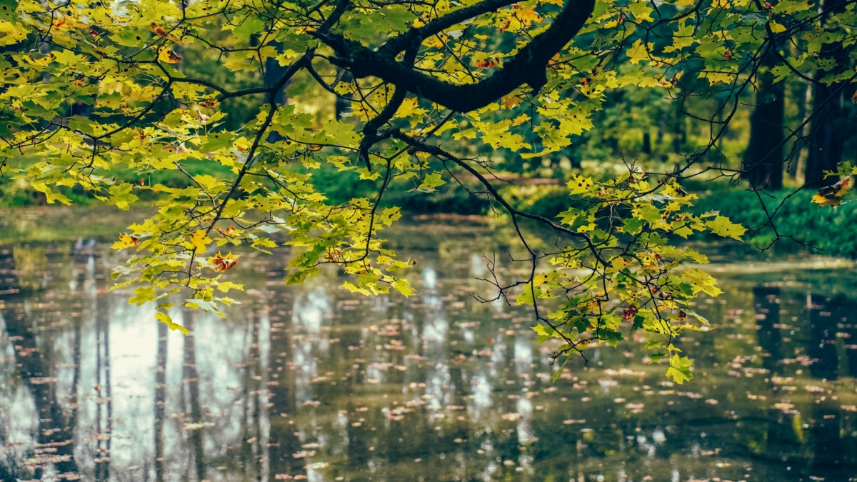 Звездный коридор: С 21 ноября двум знакам Вселенная подарит шанс исполнить все мечты Светлана Мулыкина