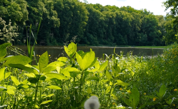Журналист Коц раскритиковал гидролога Данилова-Данильяна