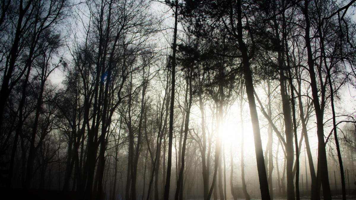 Проверено космосом: один поступок для каждого знака 22 ноября 2025 — перезагрузит ваш день на удачу ИА SM-News