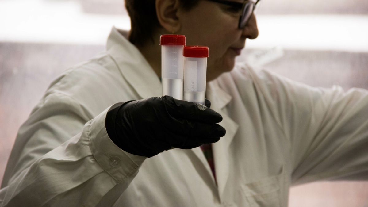 Масштабная волна инфекций: как эпидемия изменила генофонд человечества — что рассказала древняя ДНК ИА SM-News