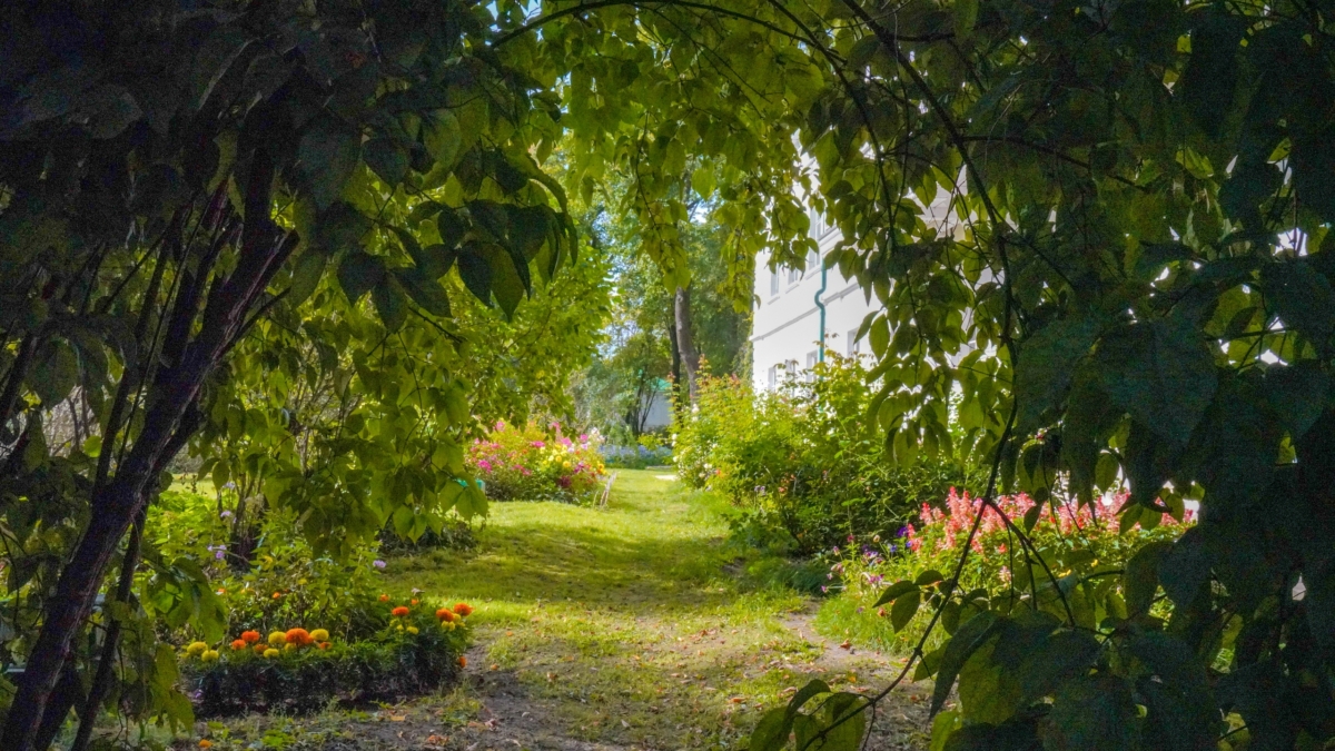 Мало кто знает о магии этого дня: 23 ноября можно стереть старую судьбу и начать с чистого листа Светлана Мулыкина