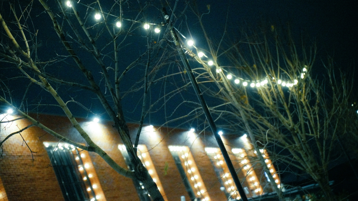 Лунный ключ 25 ноября 2025 года: каждый знак зодиака получит свой шифр к судьбе ИА SM-News