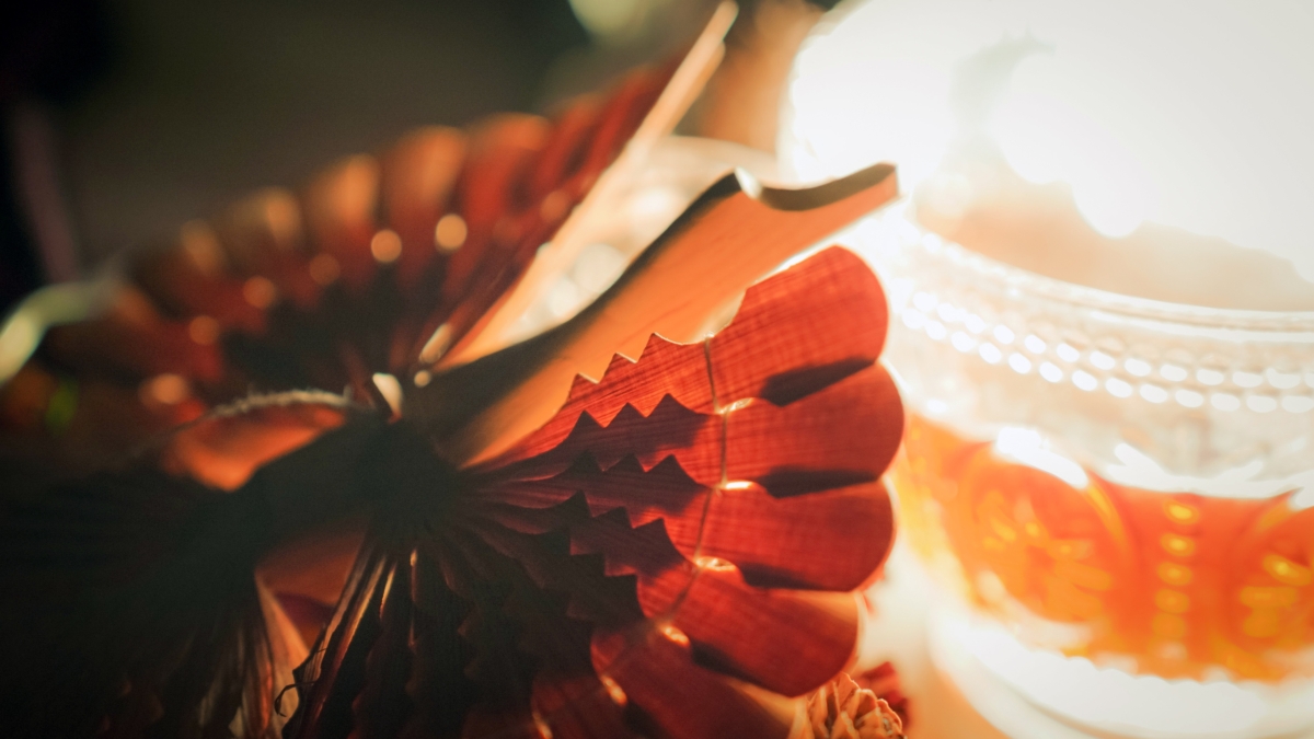 Светлана Мулыкина