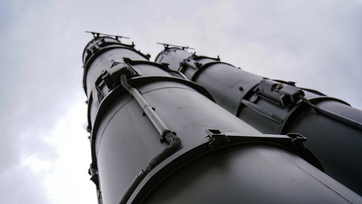 Светлана Мулыкина
