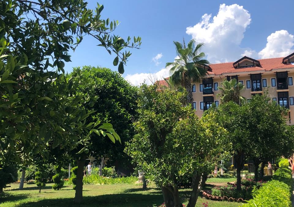 От шума мегаполиса к шепоту сосен: санаторий с неизменной 5 в отзывах — настоящий оазис для отдыха ИА SM-News