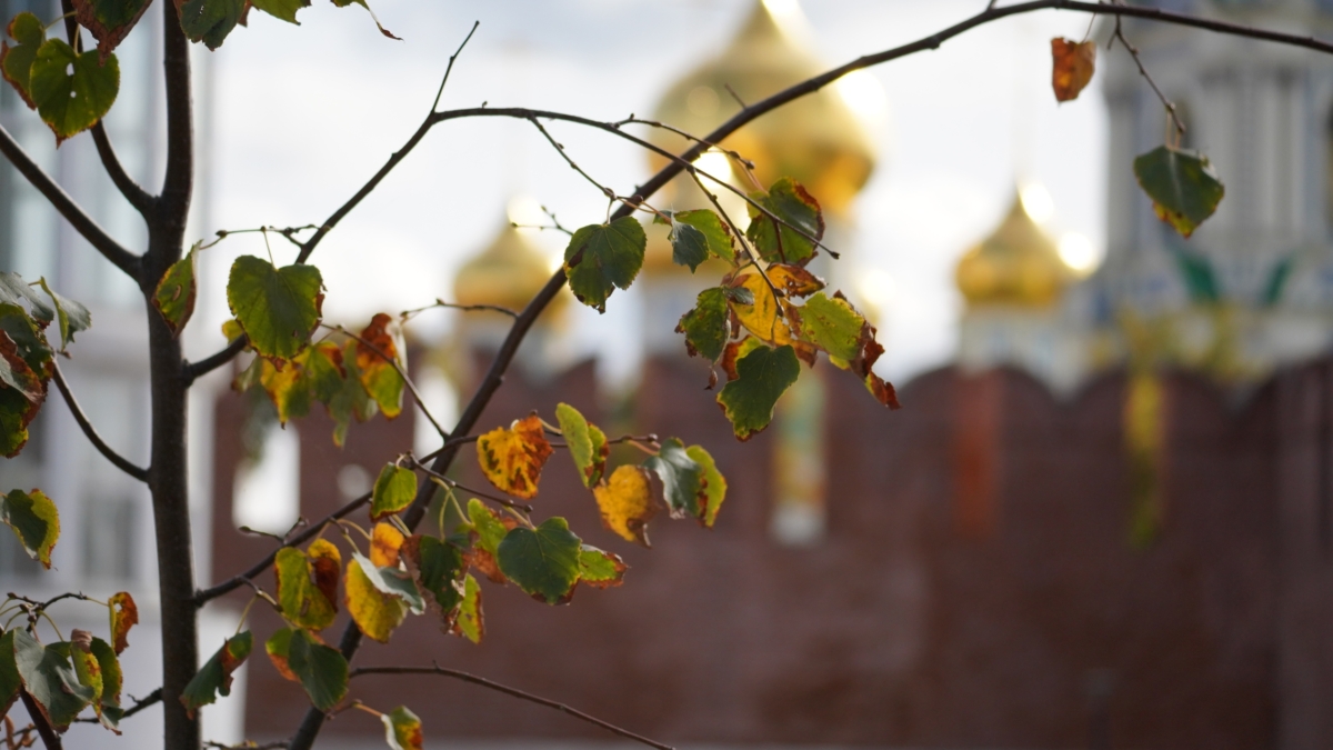 28 ноября отмечаем праздник бухгалтера, 1-й день Рождественского поста, именинники и не только ИА SM-News