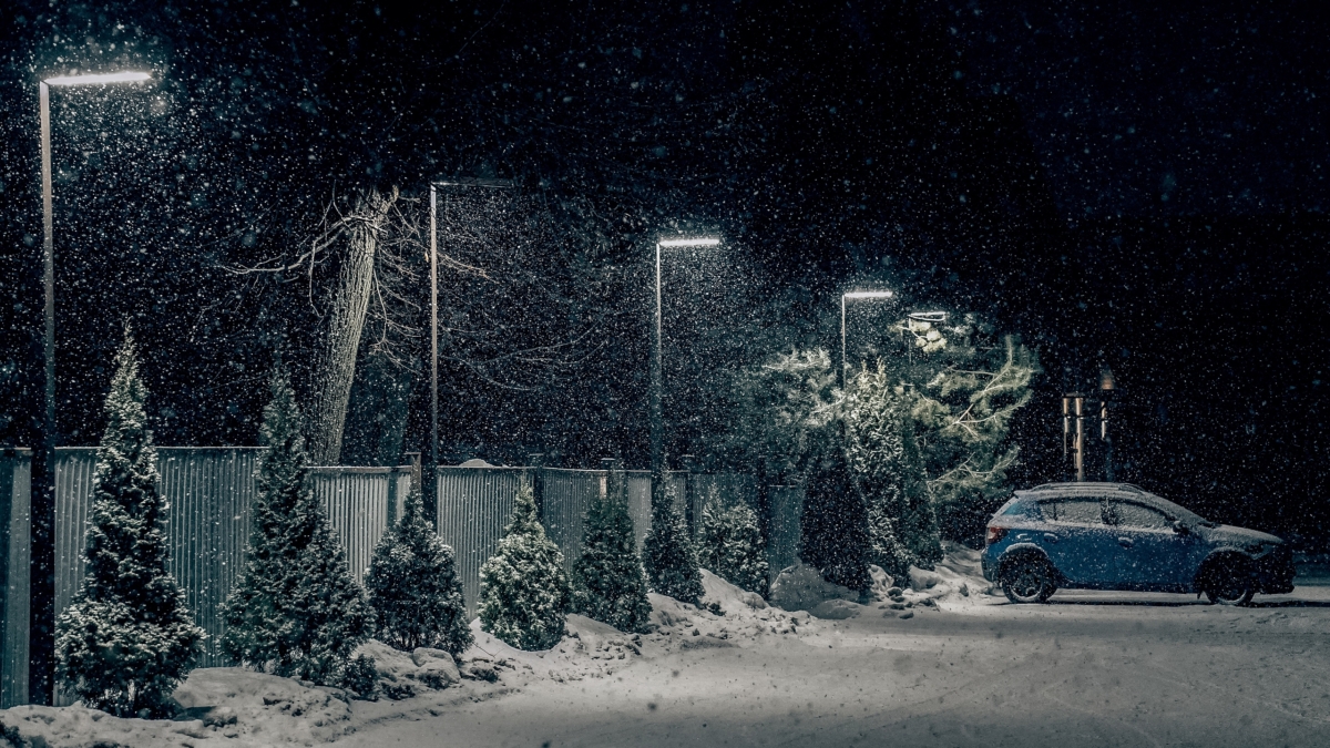 Светлана Мулыкина