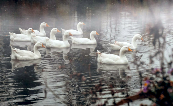 Последняя пятница осени: почему 28 ноября нельзя стричься и начинать важные дела — что можно, а что нет