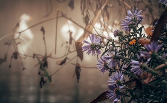 Таро-расклад на 28 ноября:  о чем предупреждают карты в последнюю пятницу осени