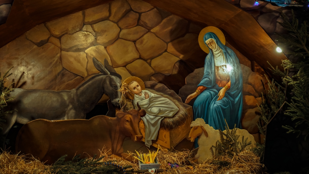 Светлана Мулыкина