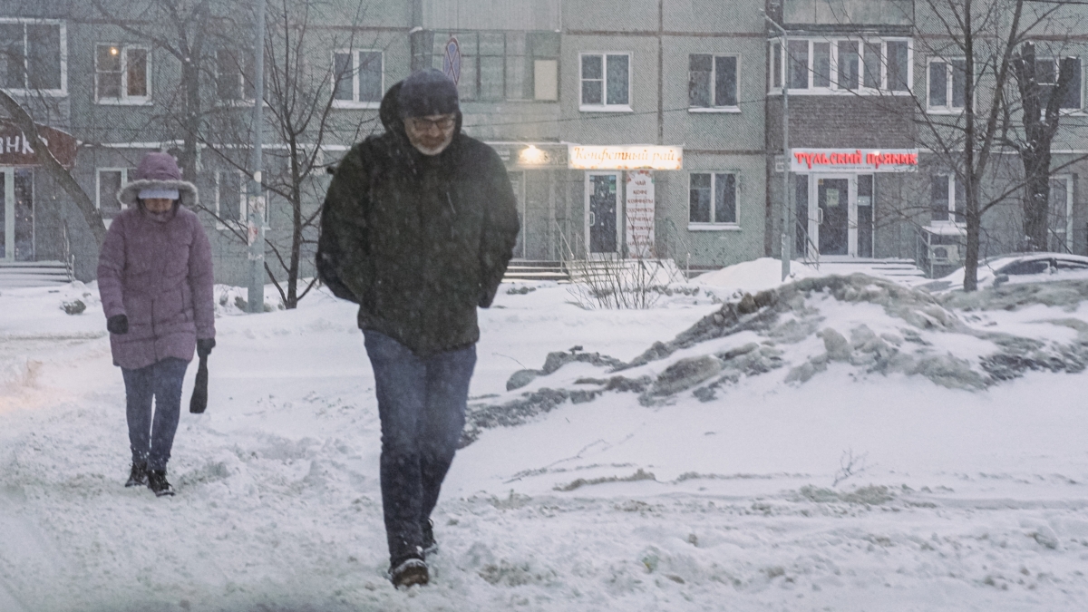 Светлана Мулыкина