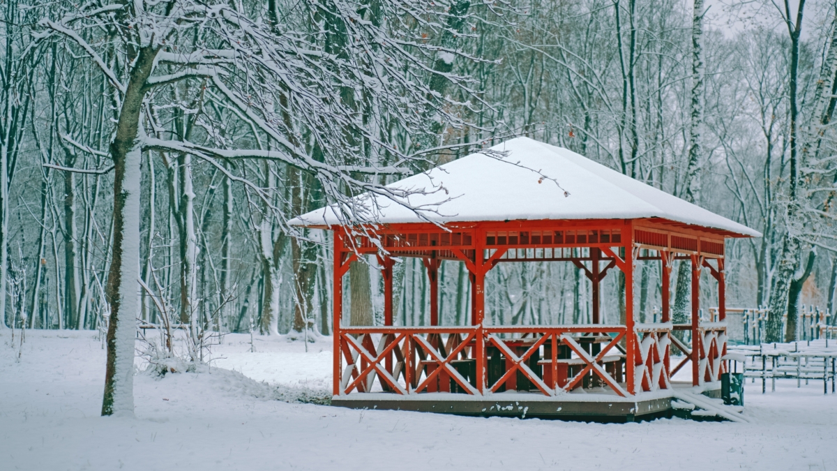 Светлана Мулыкина