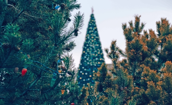 Лунный календарь на декабрь 2025: гармонично завершаем год и закладываем новые цели на будущее