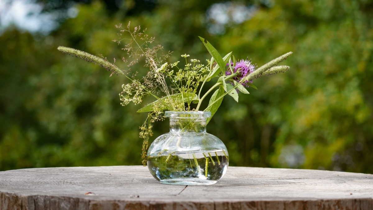 От жары к метелям: сезон рождения может влиять на настроение во взрослом возрасте Светлана Мулыкина