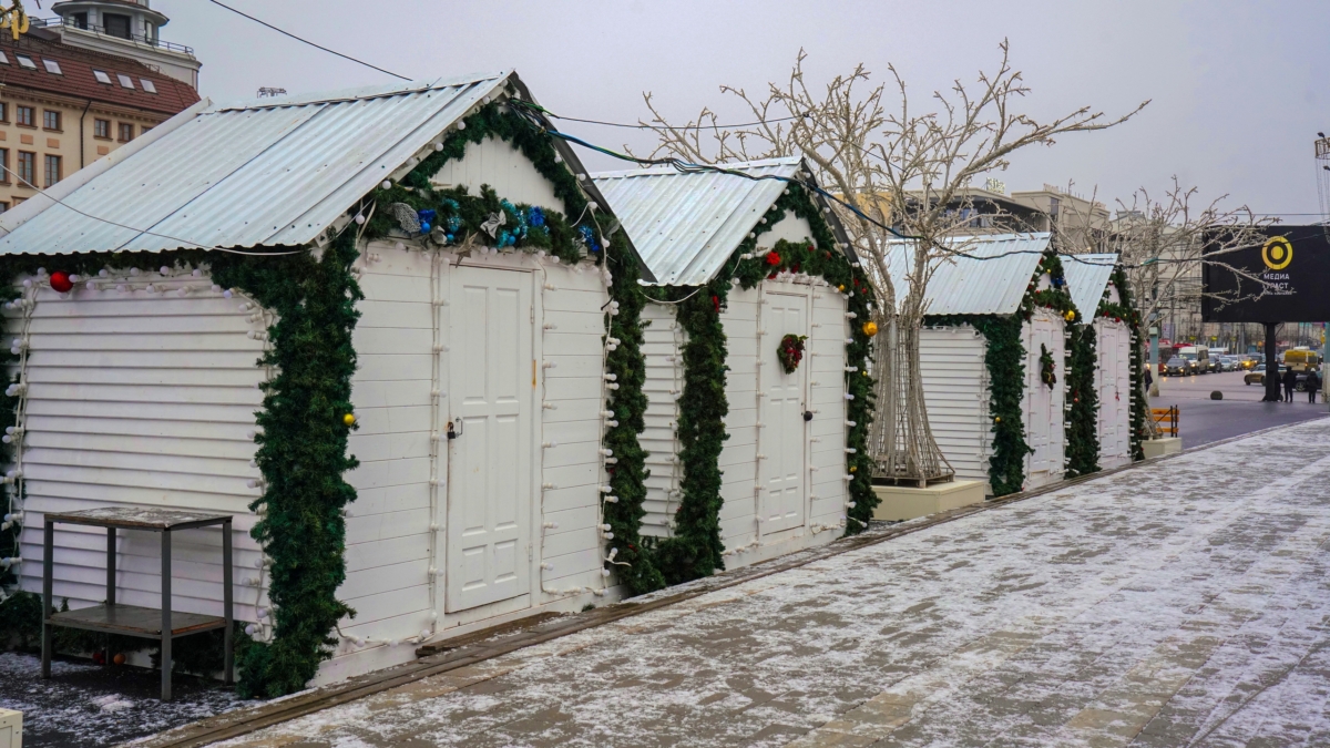 Светлана Мулыкина