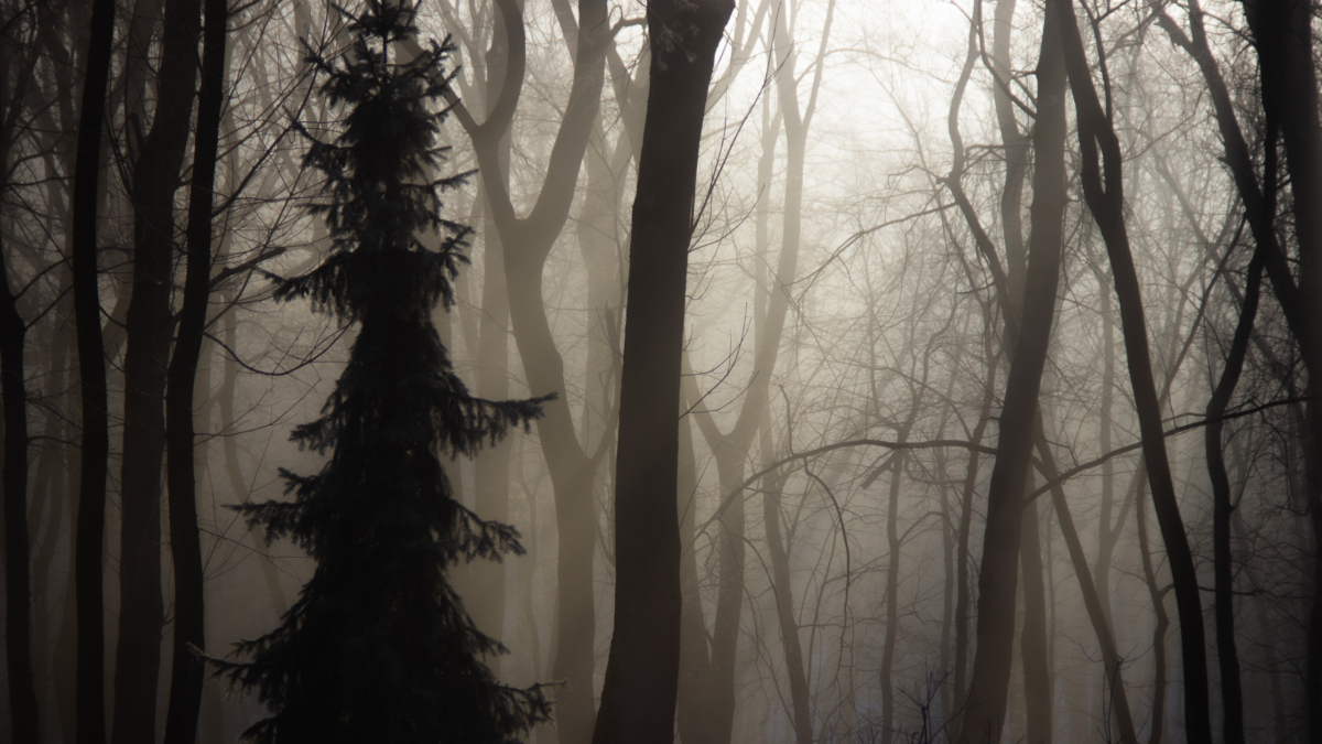 Суперлуние 5 декабря 2025: что можно и нельзя — как превратить слова в оберег, а не в проклятие ИА SM-News