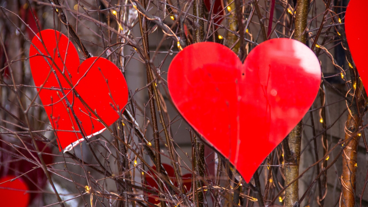 Идеальные половинки: пары знаков, которым астрологи пророчат счастливую любовь на всю жизнь ИА SM-News