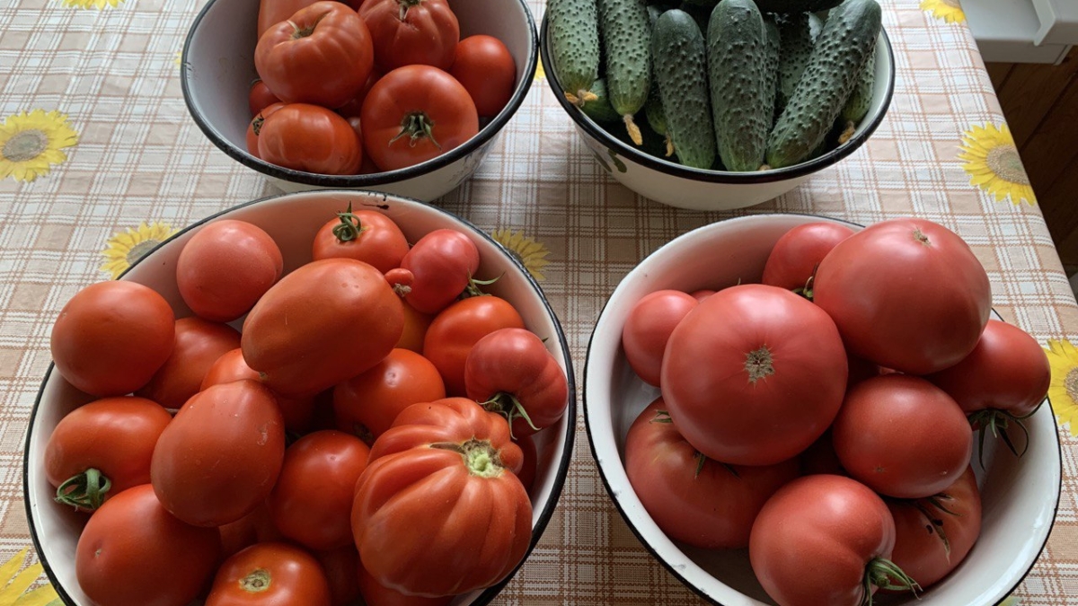 Что сначала нужно класть: лук или огурцы — правильная последовательность в салате ИА SM-News